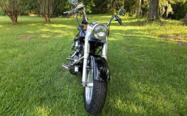 Harley-heritage-softail-flst-1989-6