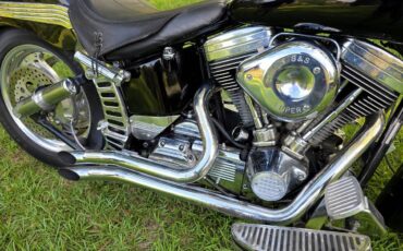 Harley-heritage-softail-flst-1989-7