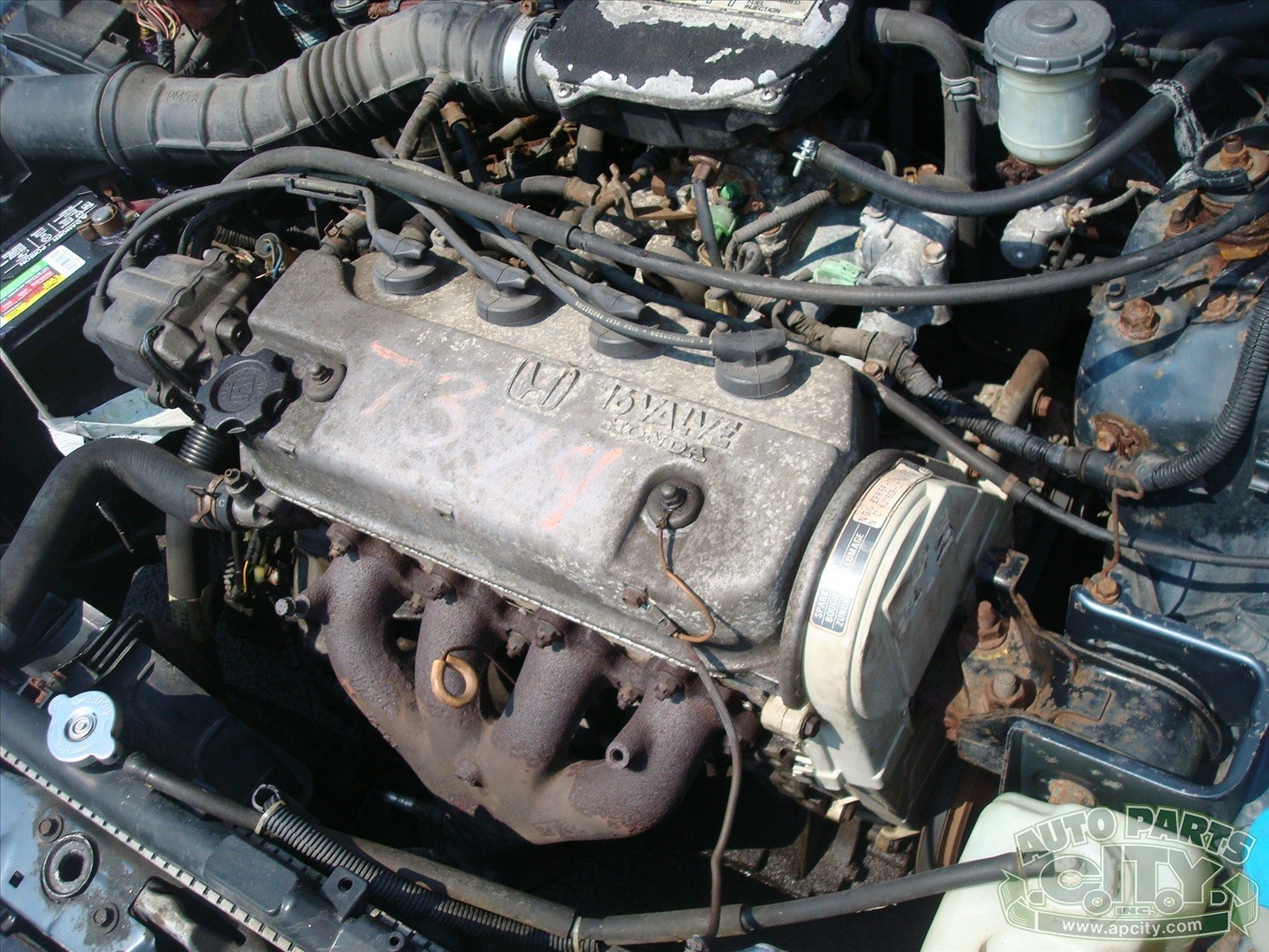 Honda-Civic-1991-Hatchback-12