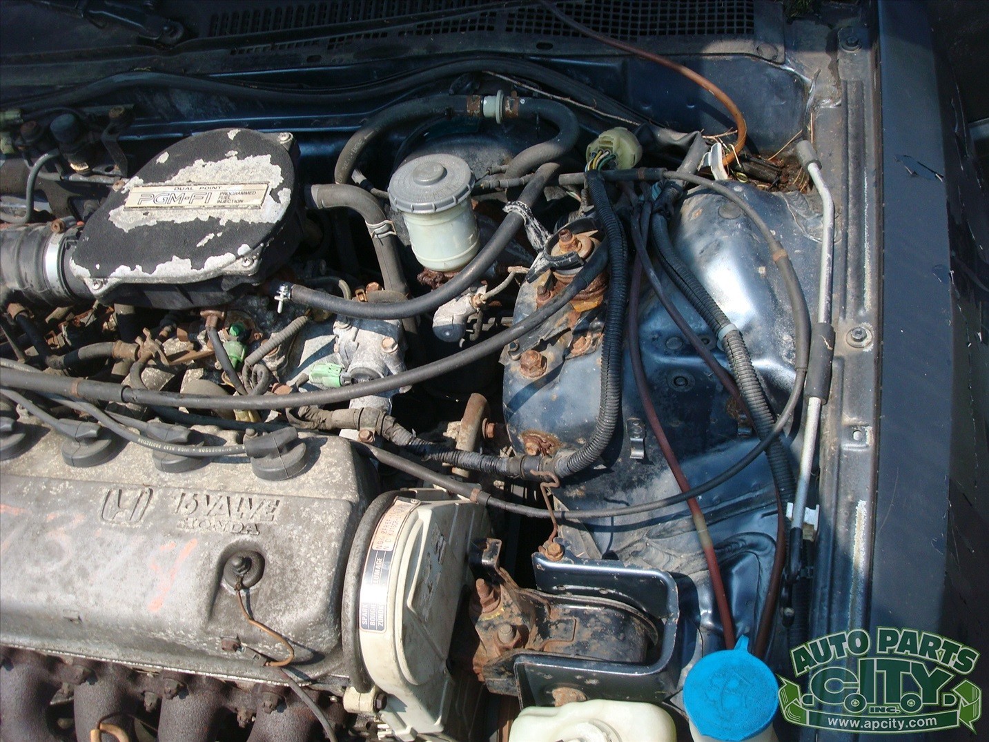 Honda-Civic-1991-Hatchback-6