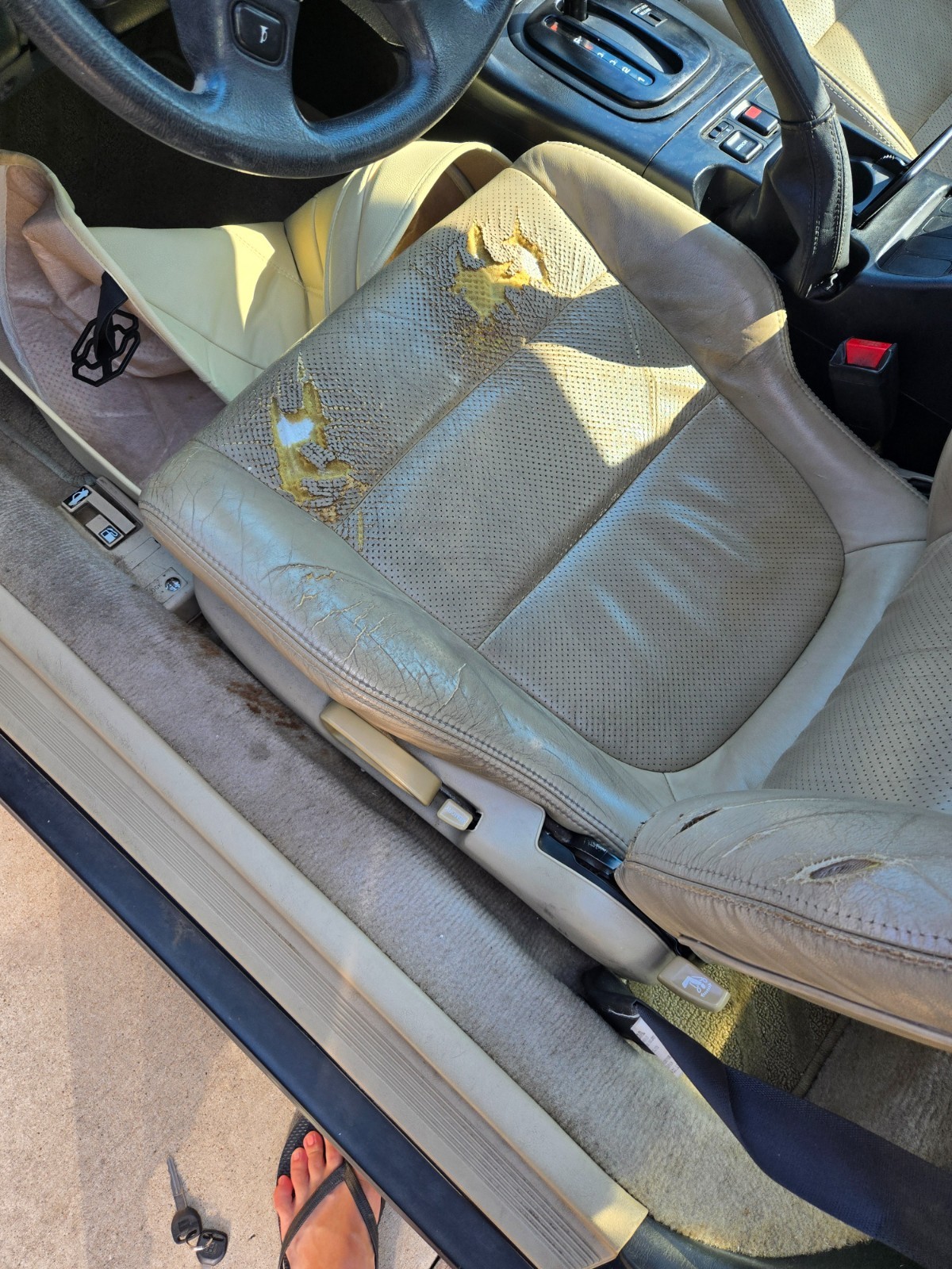 Honda-Prelude-1995-Coupe-7
