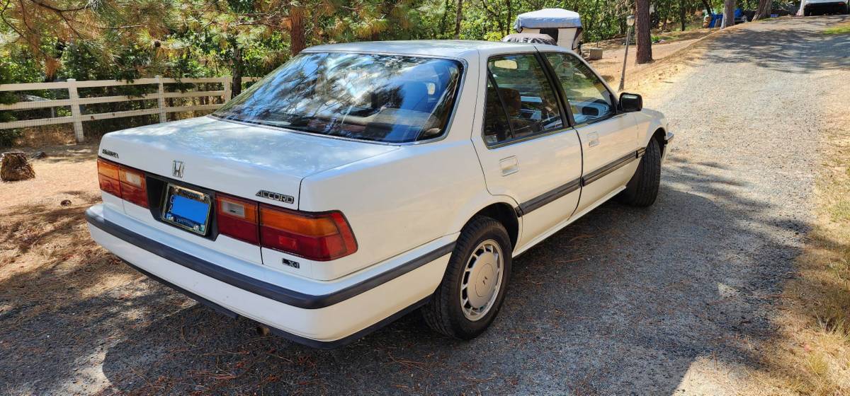 Honda-accord-1988-white-11