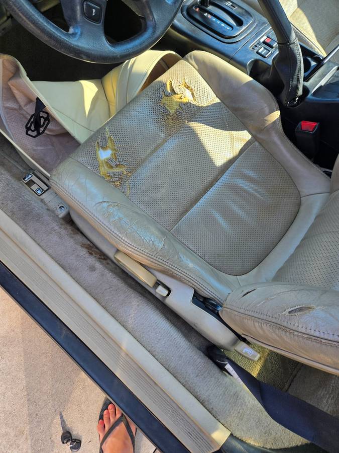 Honda-prelude-1995-green-7