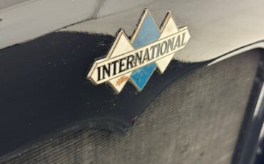 International-Other-1930-Green-Black-23