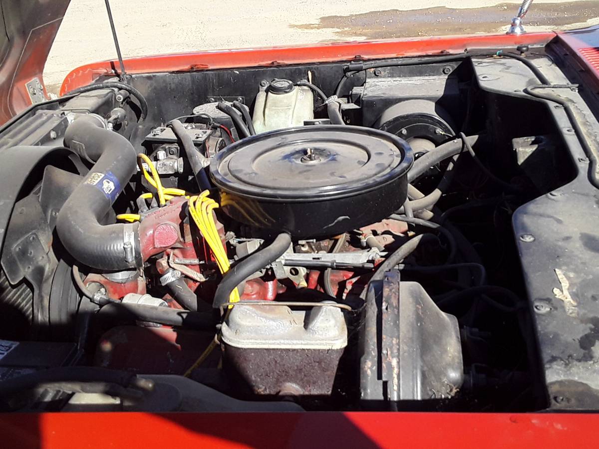 International-scout-1972-red-4