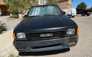 Isuzu-pickup-1992-black-12