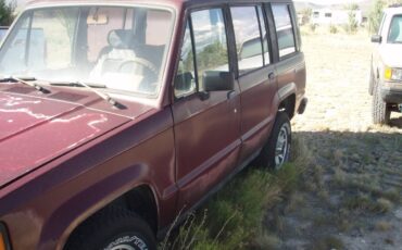 Isuzu-trooper-1988-6