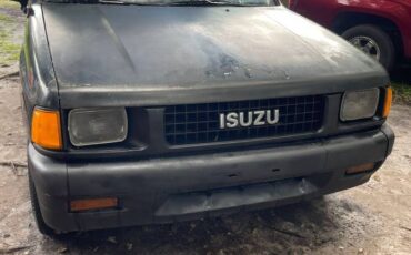 Isuzu-truck-1990-black-3