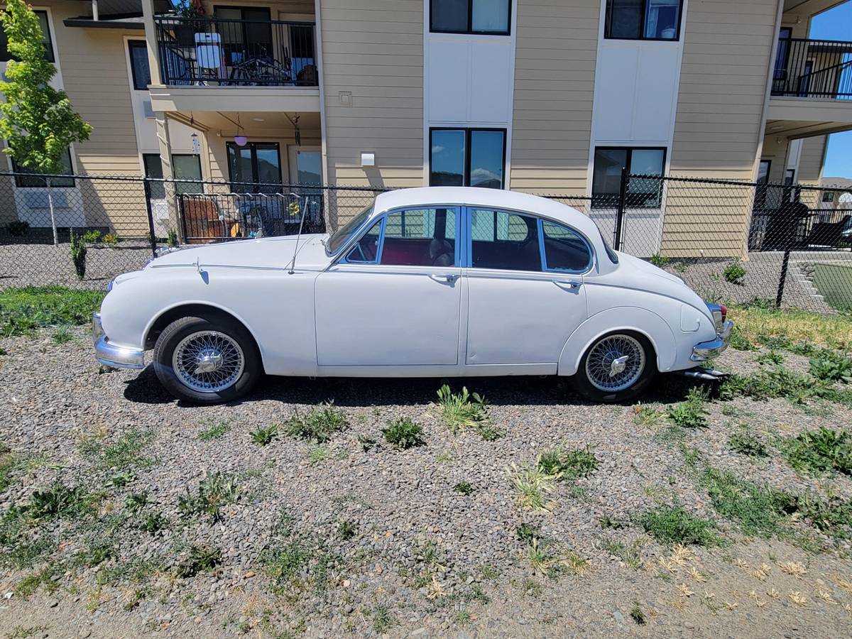 Jaguar-1964-white-2