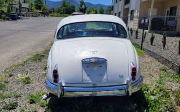 Jaguar-1964-white-3