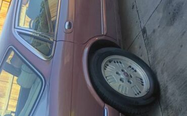 Jaguar-1995-3