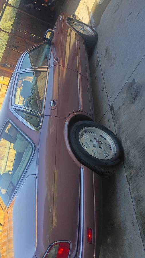 Jaguar-1995-3