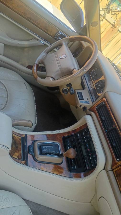 Jaguar-1995-9
