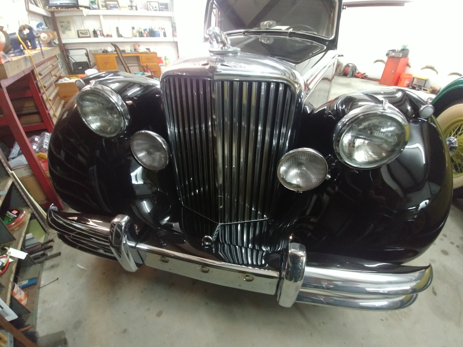 Jaguar-Mark-V-1951-Coupe-4