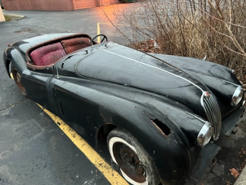 Jaguar-Other-1956-Black-Red-1