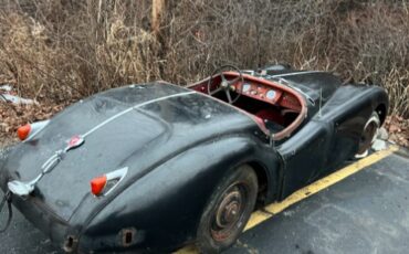 Jaguar-Other-1956-Black-Red-2