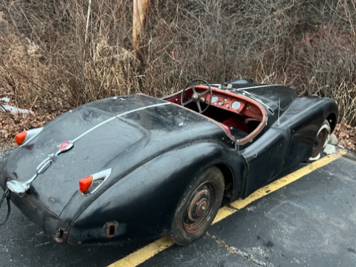 Jaguar-Other-1956-Black-Red-2