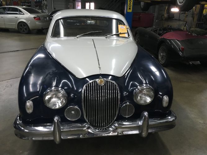 Jaguar-Other-1958-2