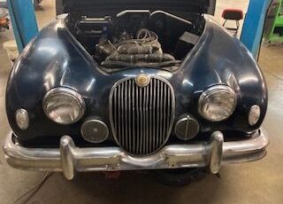 Jaguar-Other-1958-21