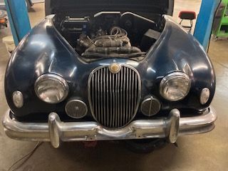 Jaguar-Other-1958-21