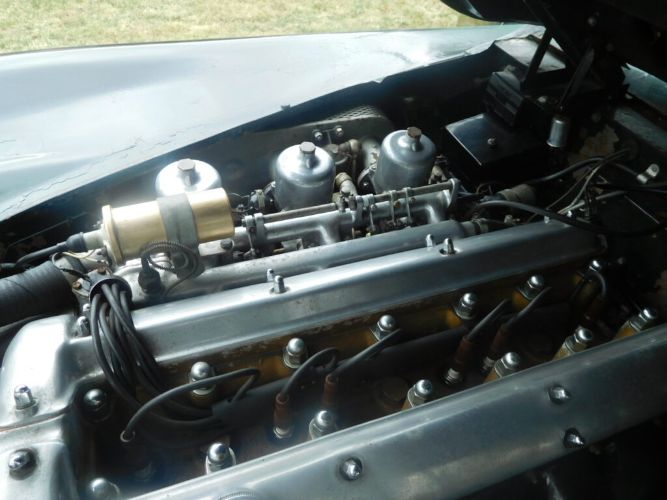 Jaguar-Other-1959-1