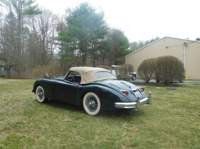 Jaguar-Other-1959-3