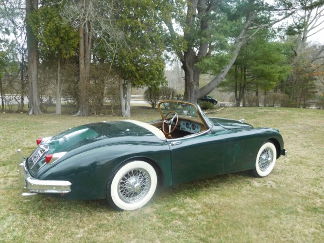 Jaguar-Other-1959