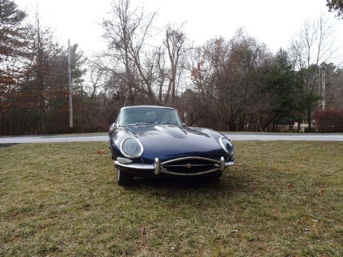 Jaguar-Other-1967-1