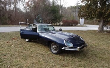 Jaguar-Other-1967-10