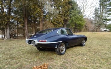 Jaguar-Other-1967-13