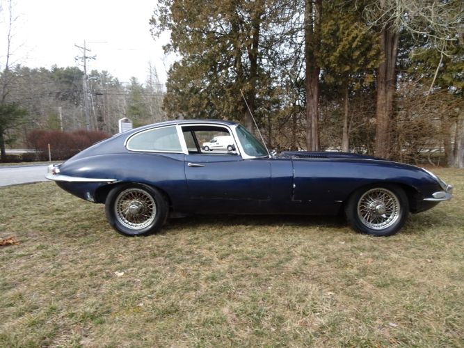 Jaguar-Other-1967-14