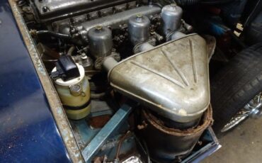 Jaguar-Other-1967-17