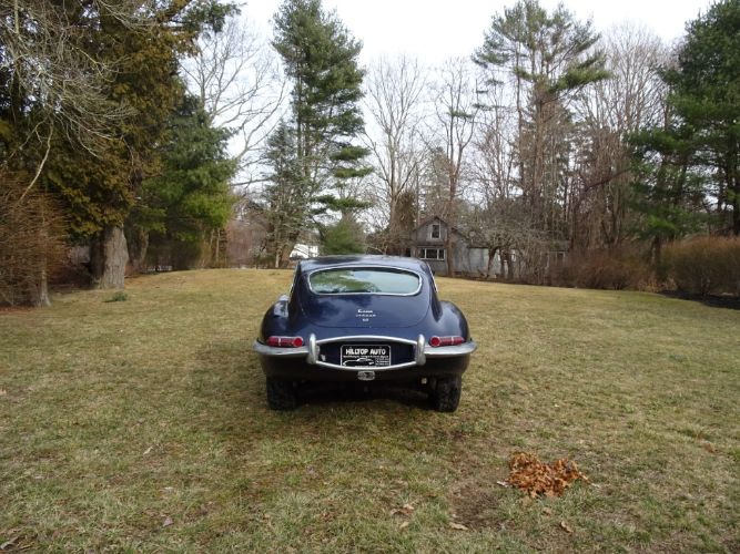Jaguar-Other-1967-19