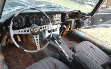 Jaguar-Other-1967-24