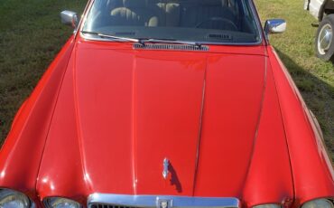 Jaguar-XJ6-1981-Sedan-1