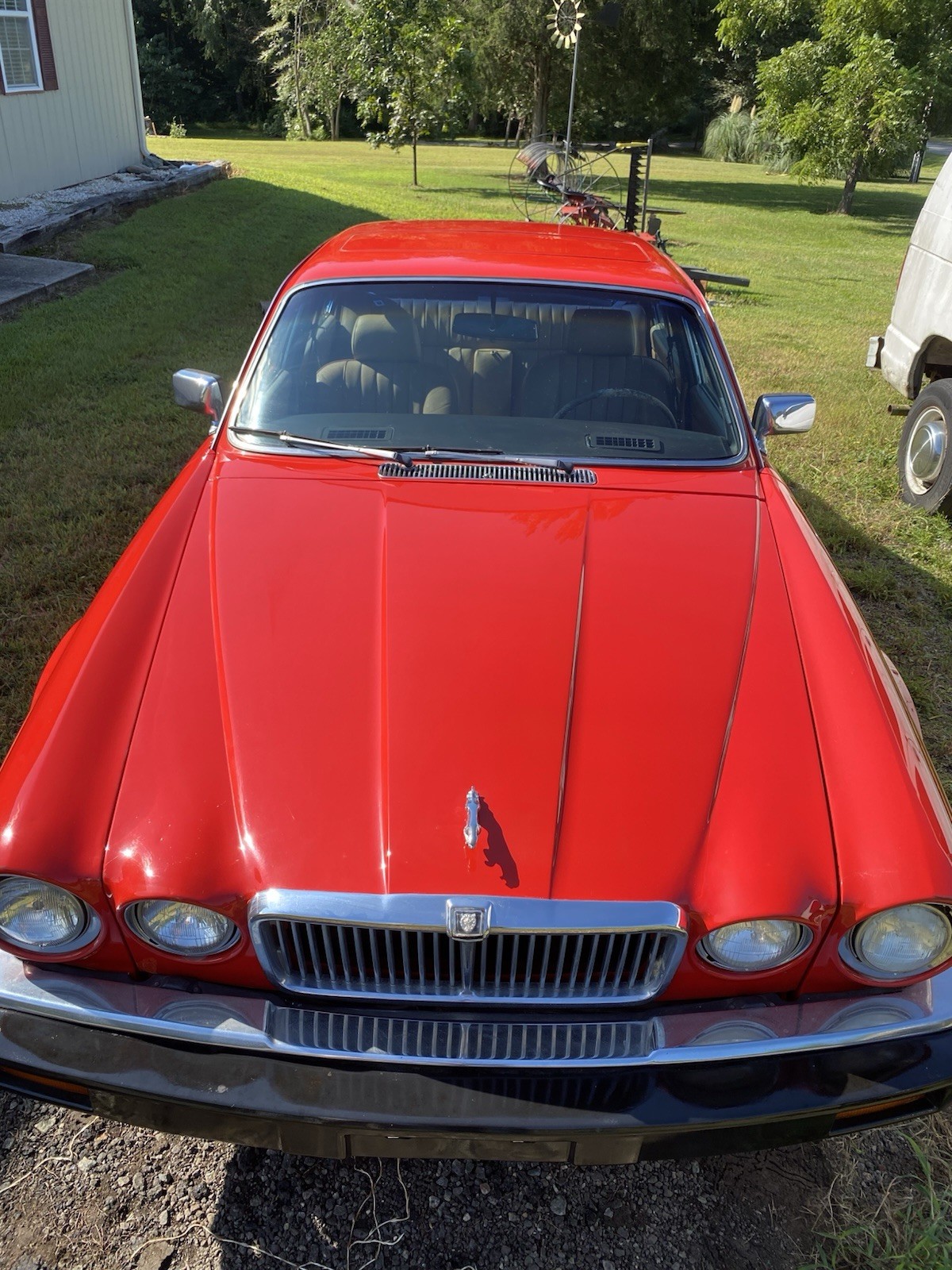 Jaguar-XJ6-1981-Sedan-1
