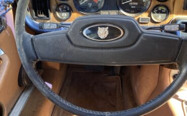 Jaguar-XJ6-1981-Sedan-18