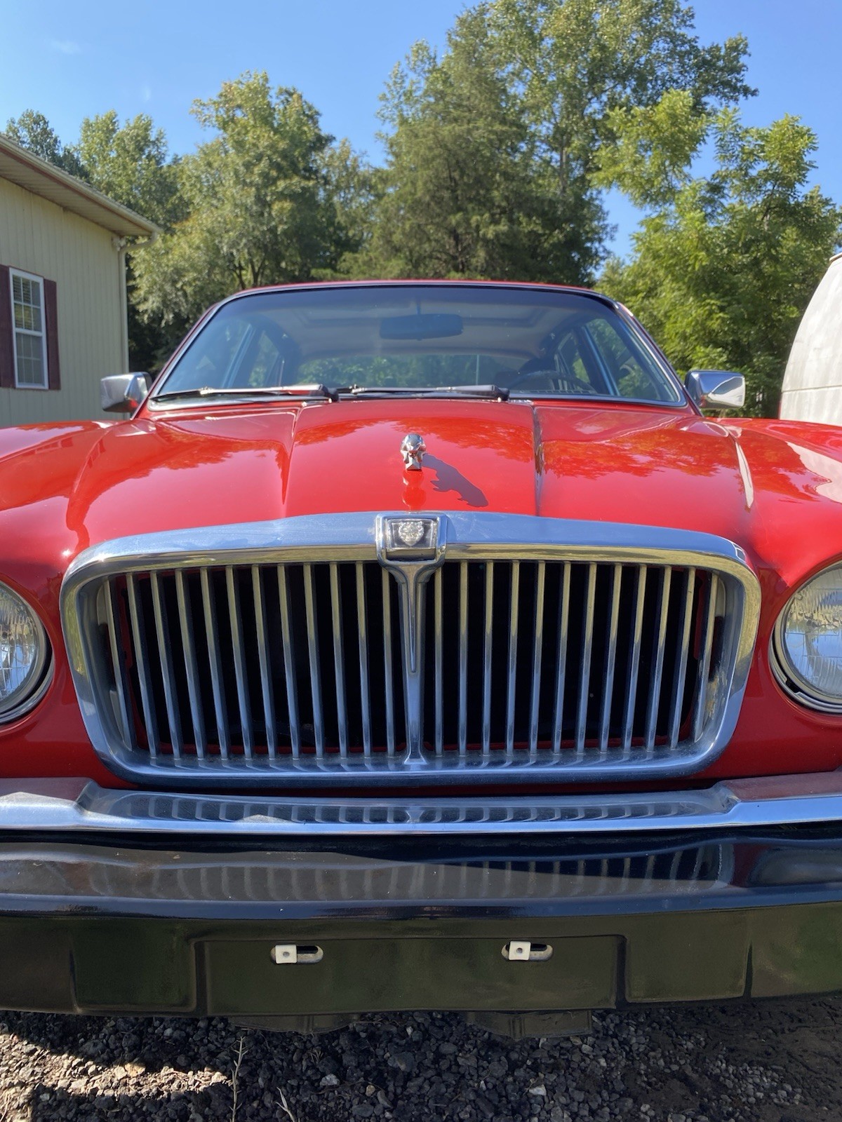 Jaguar-XJ6-1981-Sedan-2