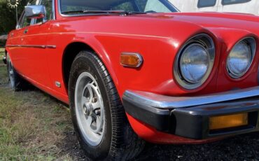 Jaguar-XJ6-1981-Sedan