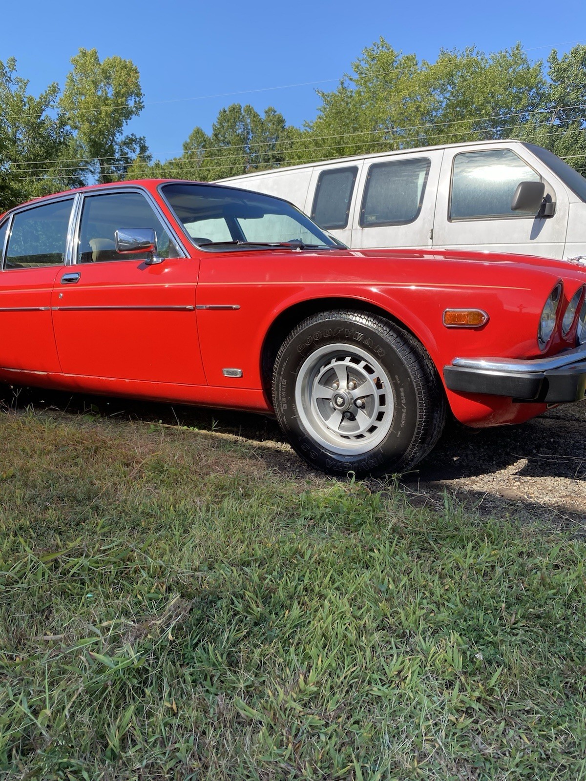 Jaguar-XJ6-1981-Sedan-9