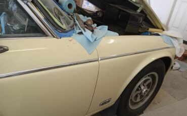 Jaguar-Xj6-1974-Yellow-Dark-Brown-15