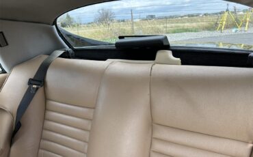 Jaguar-Xjs-1989-Black-Tan-13