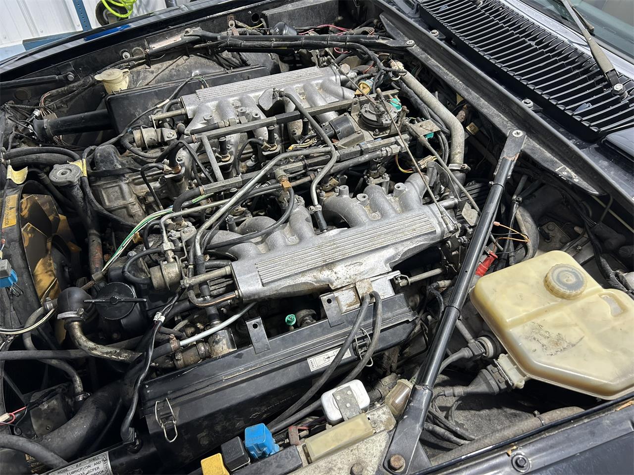 Jaguar-Xjs-1989-Black-Tan-47