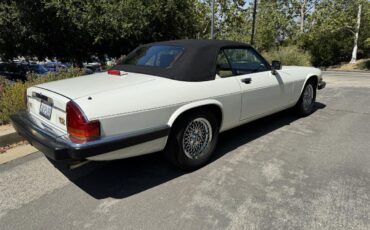 Jaguar-Xjs-1990-White-Barley-10