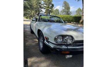 Jaguar-Xjs-1990-White-Barley-54
