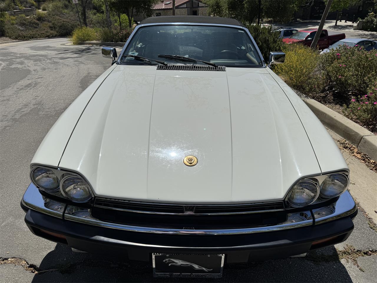 Jaguar-Xjs-1990-White-Barley-7