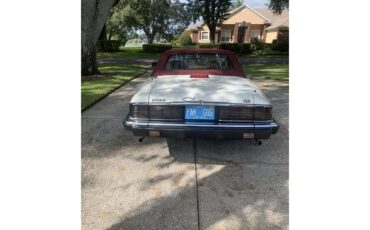Jaguar-Xjs-1993-Glacier-white-Barley-13