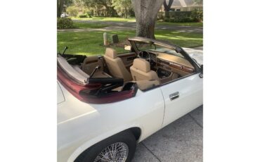 Jaguar-Xjs-1993-Glacier-white-Barley-16