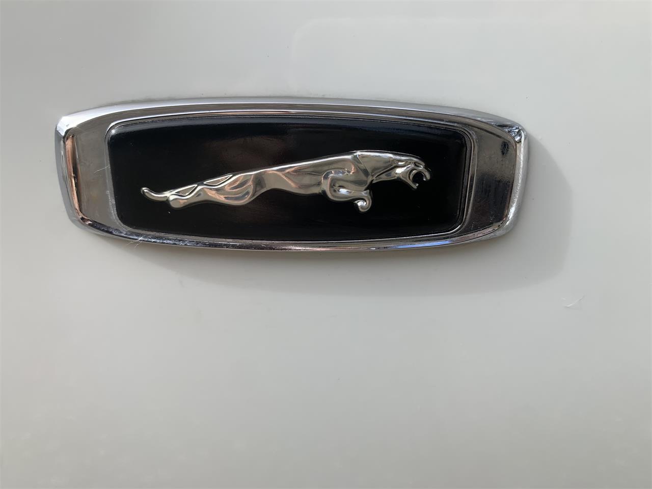 Jaguar-Xjs-1993-Glacier-white-Barley-55