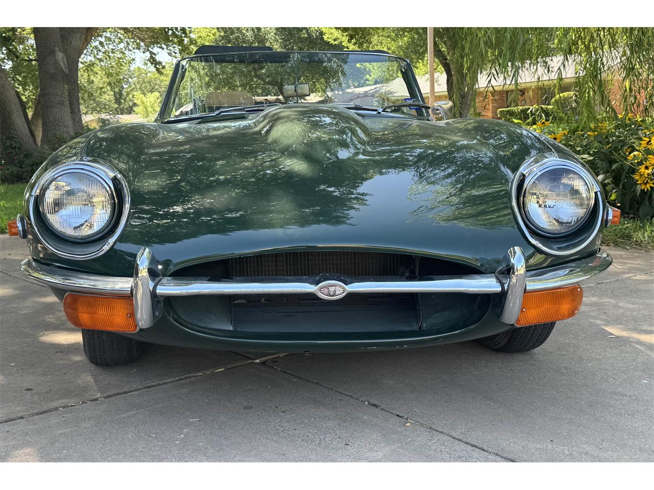 Jaguar-Xke-1971-British-Racing-Green-Biscuit-5
